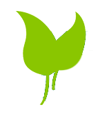 Bioembalajes